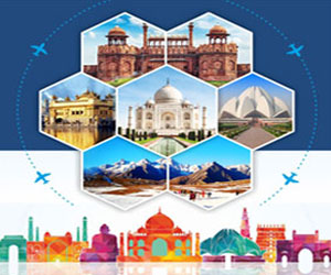 Domestic Packages